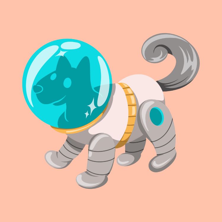 Phi hành gia, người du hành vũ trụ 60